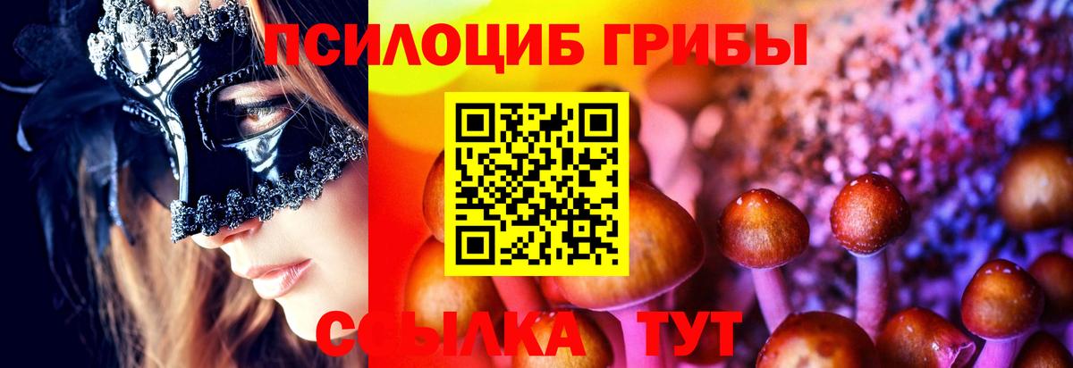 магазин    Псилоцибиновые грибы ЛСД  Вход с VPN  Магадан 